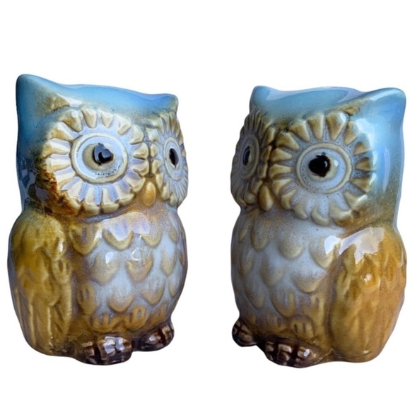 Blue Owl Salt and Pepper Shaker Set Glazed Ceramic Owl Decor 2 Piece Set - Picture 2 of 14